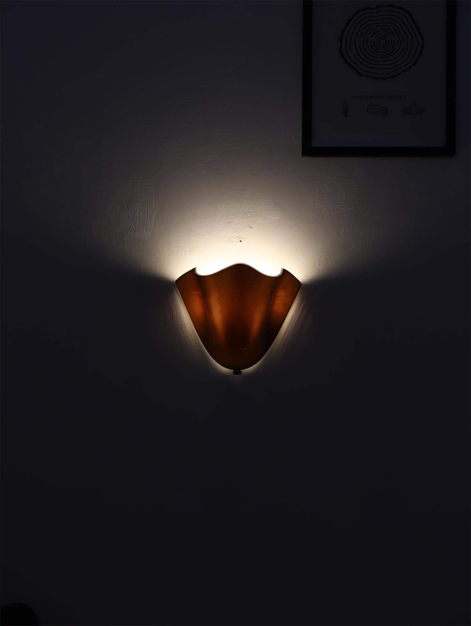 Ulcarisra Glass Wall Lamp