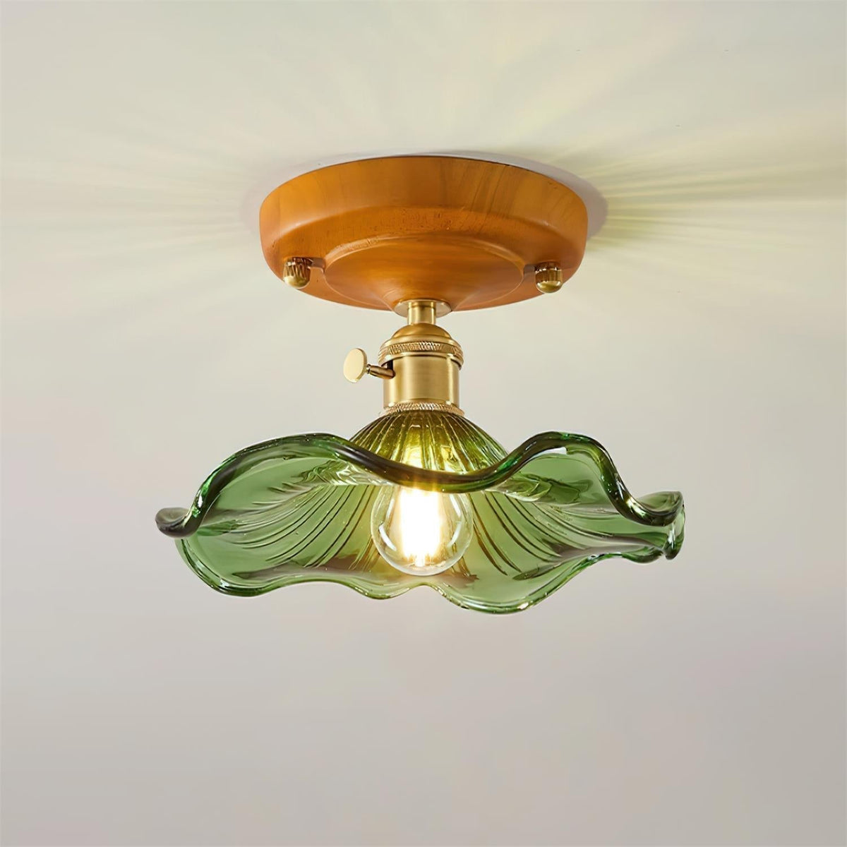 Ceiling Light Wood Canopy Brass & Glass Shade Vintage Floral Farmhouse
