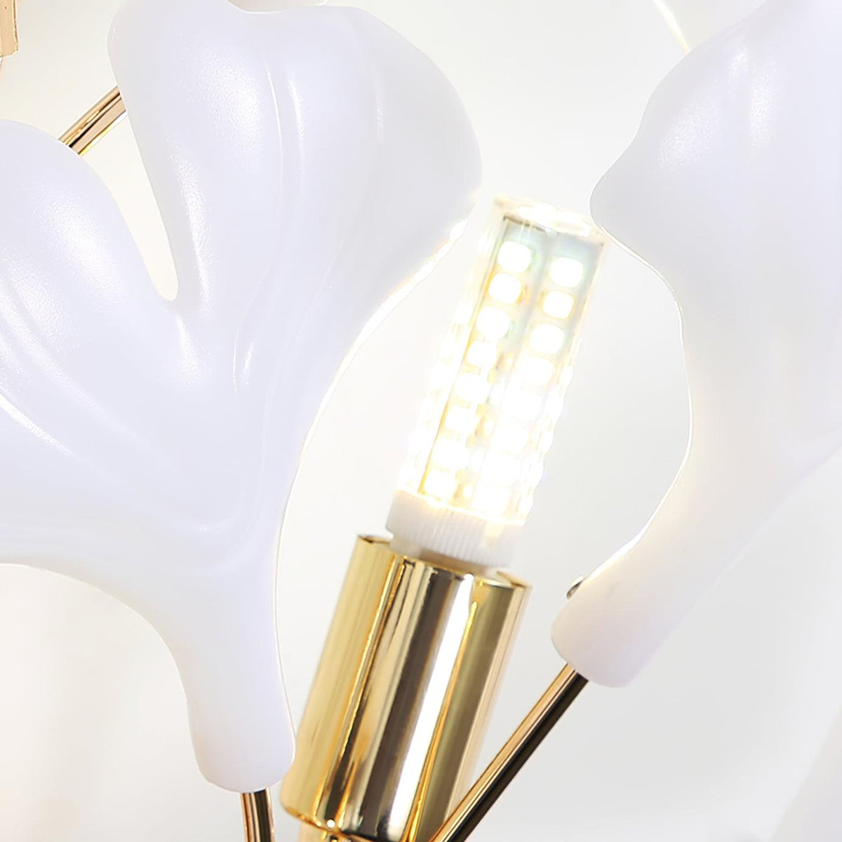 Apry Wall Lamp