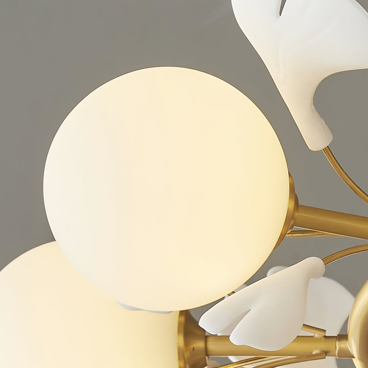Fidova Chandelier
