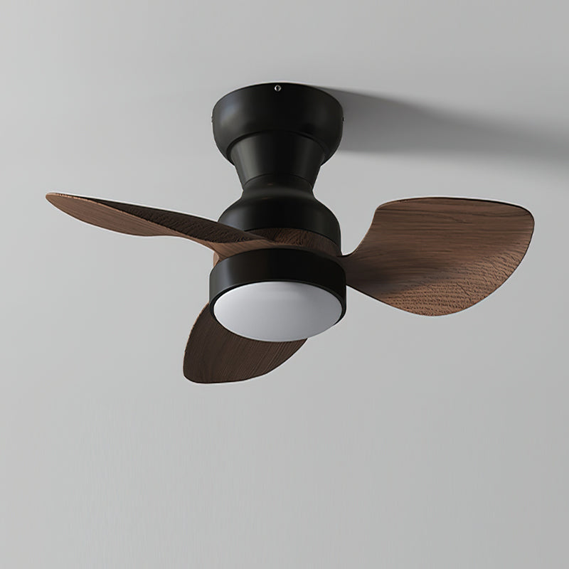 Aerivo Ceiling Fan Light