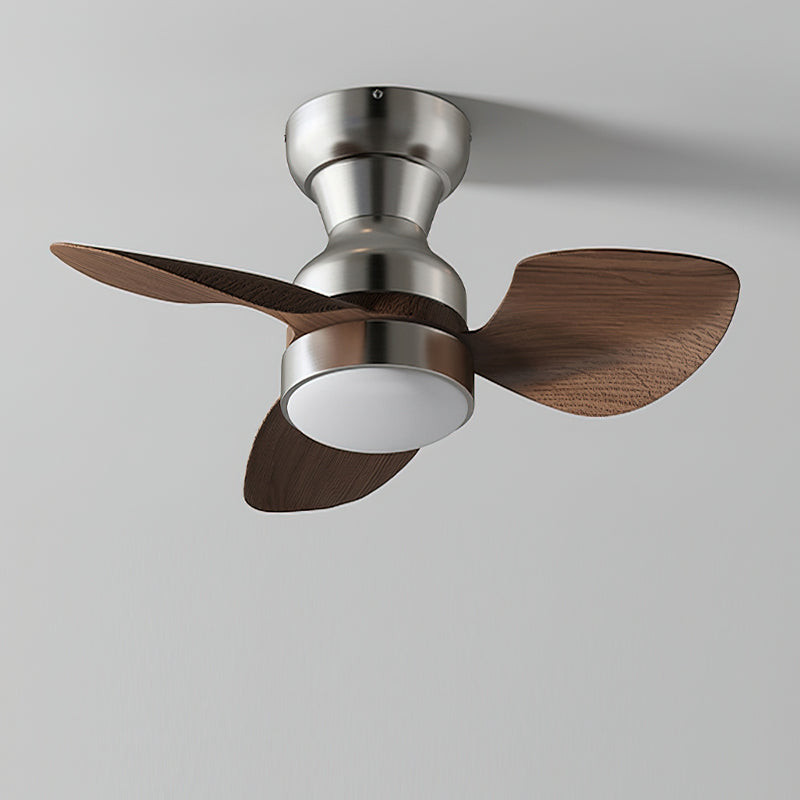 Aerivo Ceiling Fan Light
