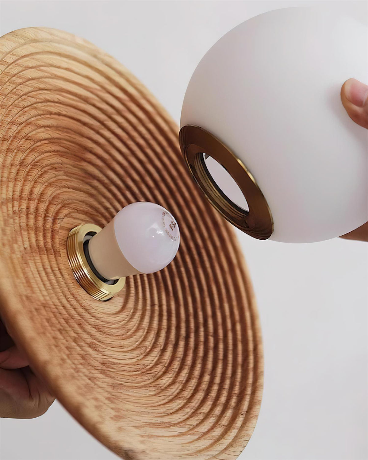 Cirisena Pendant Lamp