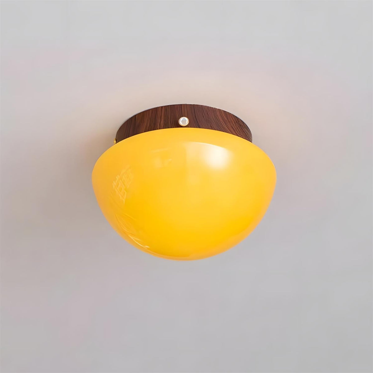 Rivinise Dome Ceiling Lamp