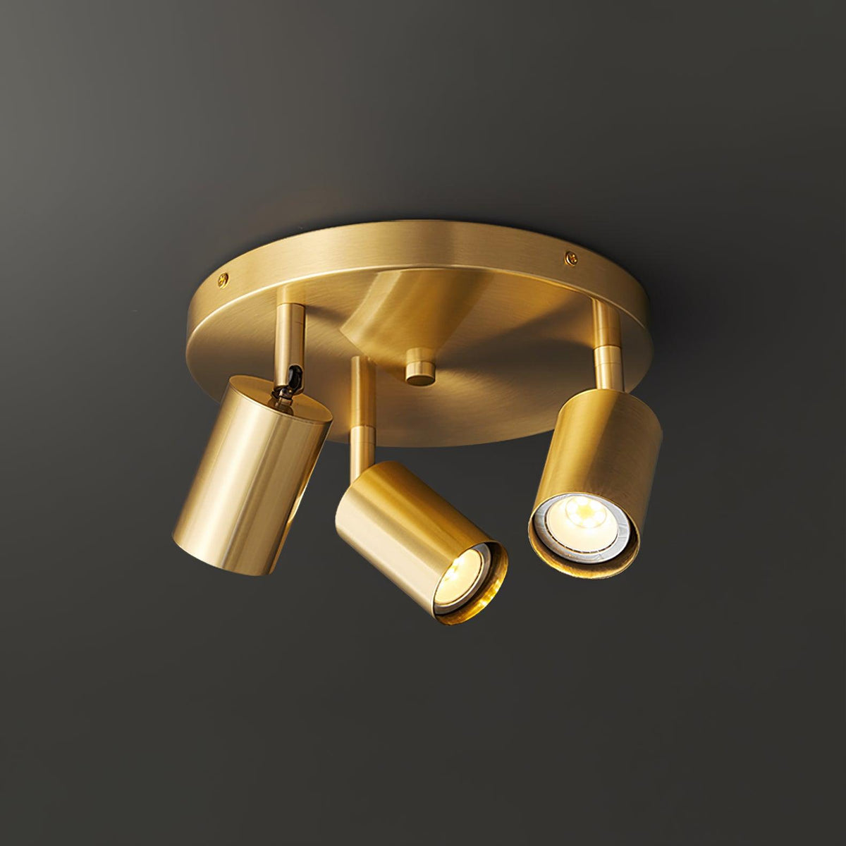 Quin Ceiling Lamp Cylinder Adjustable Contemporary