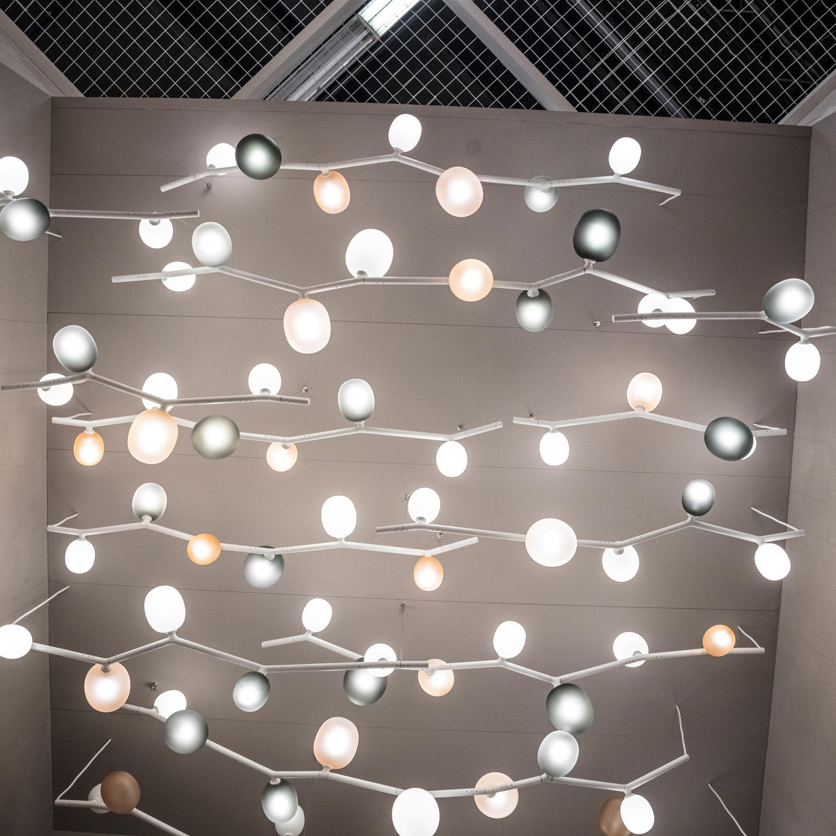 Lioreiella Horizontal Glass Pendant Lamp