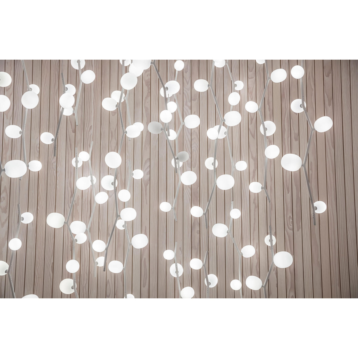 Velirena Vertical Glass Pendant Lamp