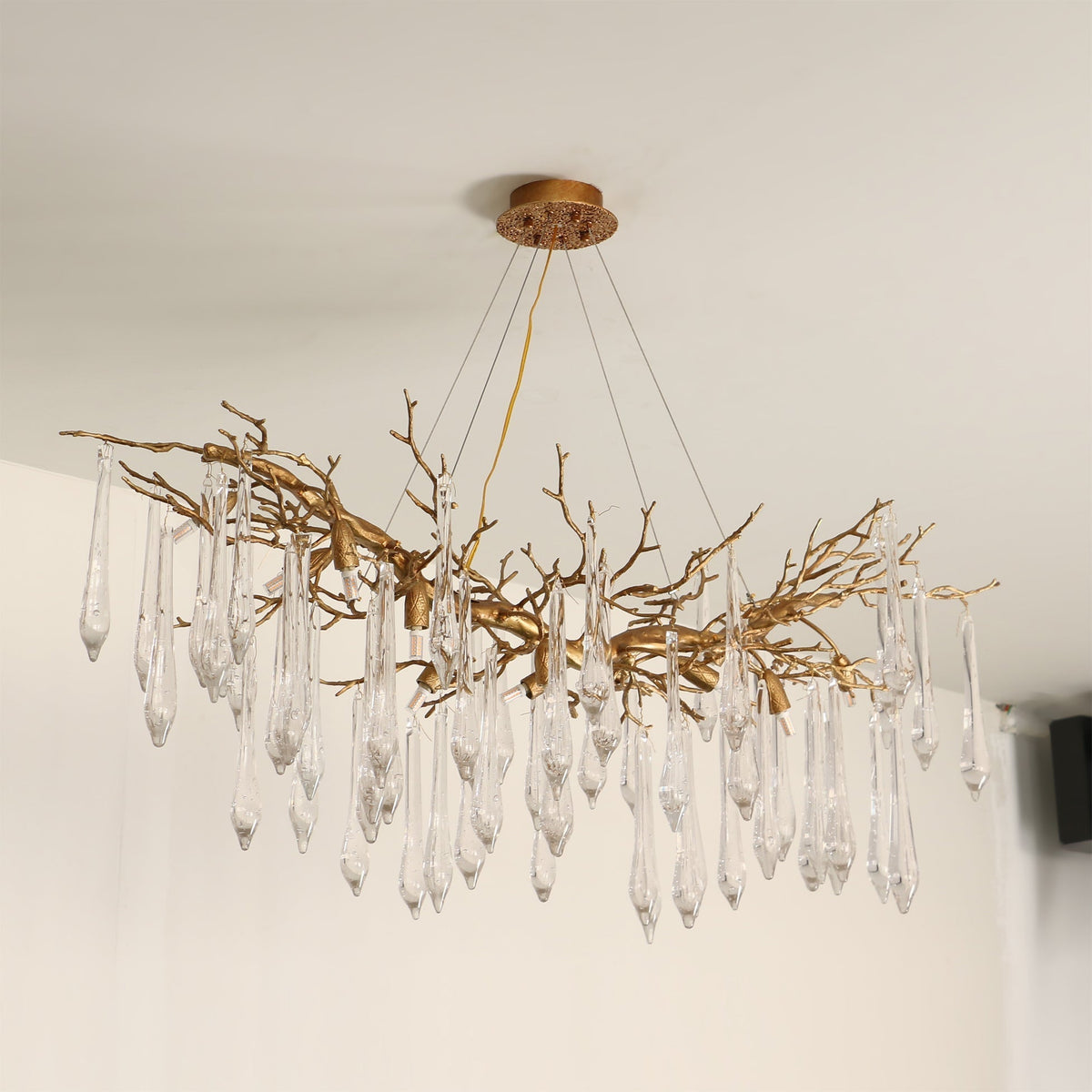 Sylvandra Chandelier