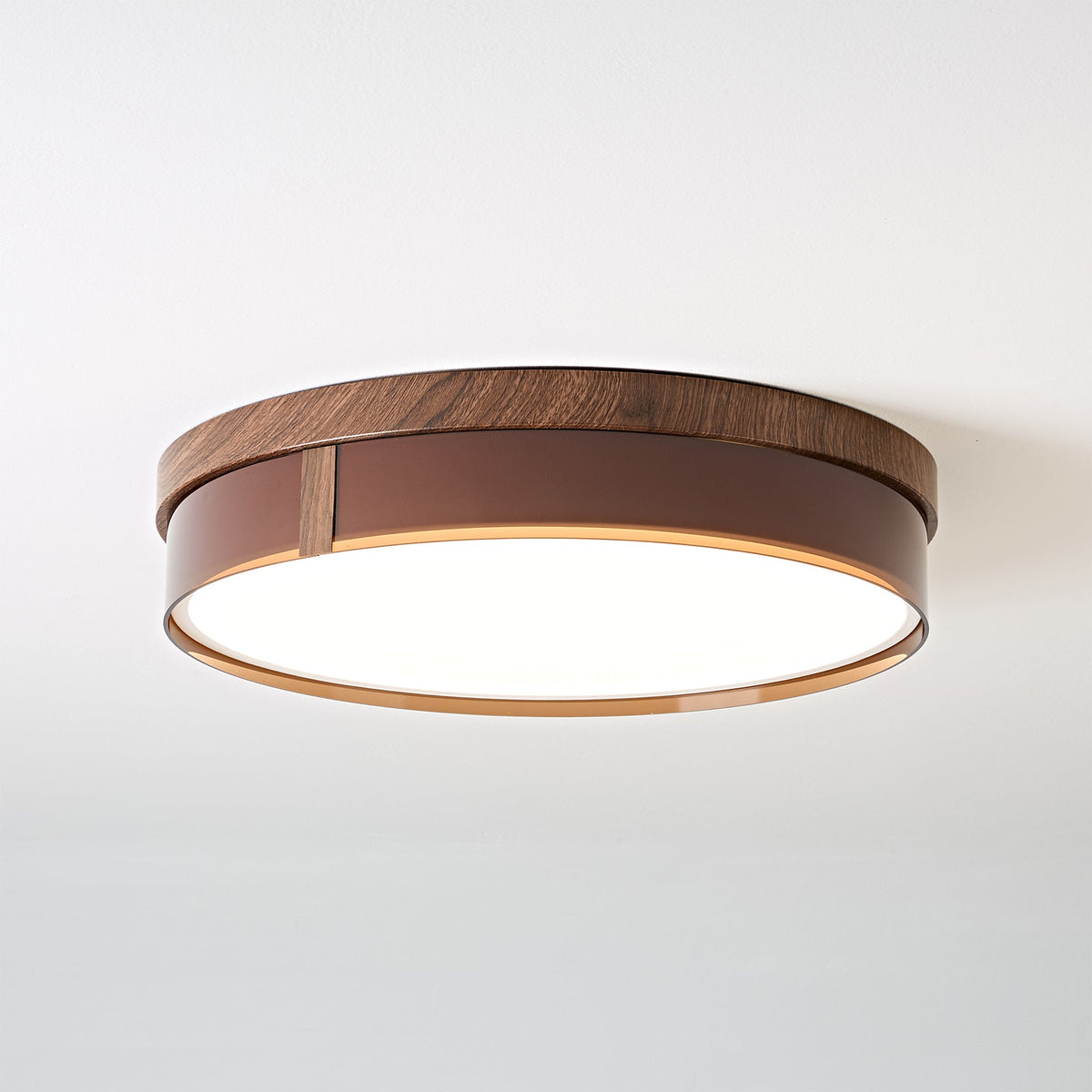 Caerwyn Ceiling Light