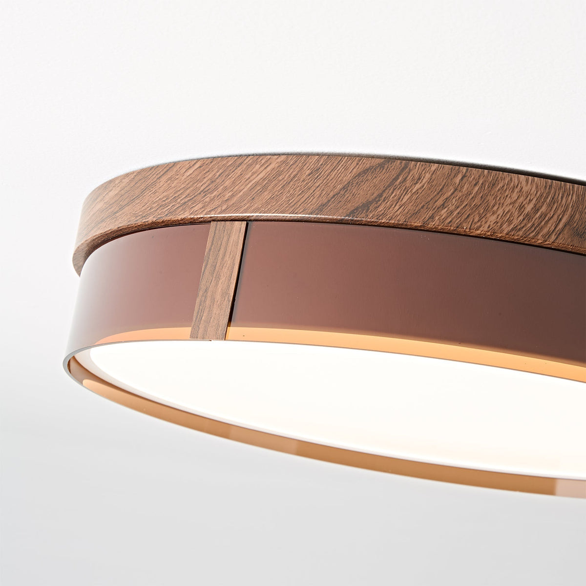 Caerwyn Ceiling Light