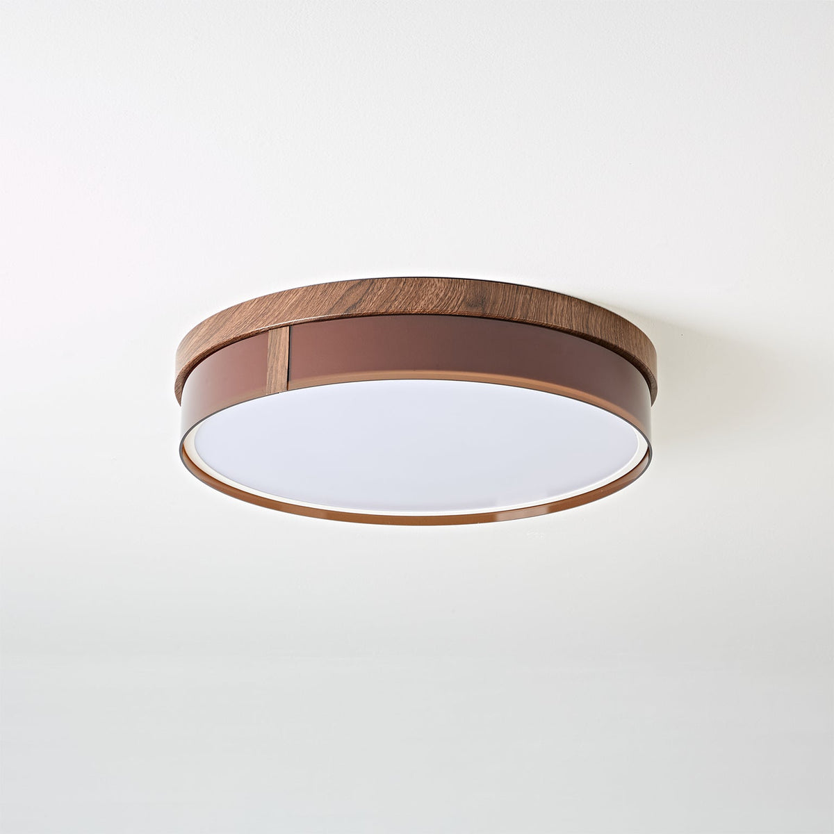 Caerwyn Ceiling Light