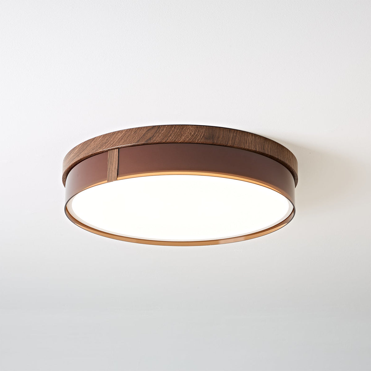 Caerwyn Ceiling Light