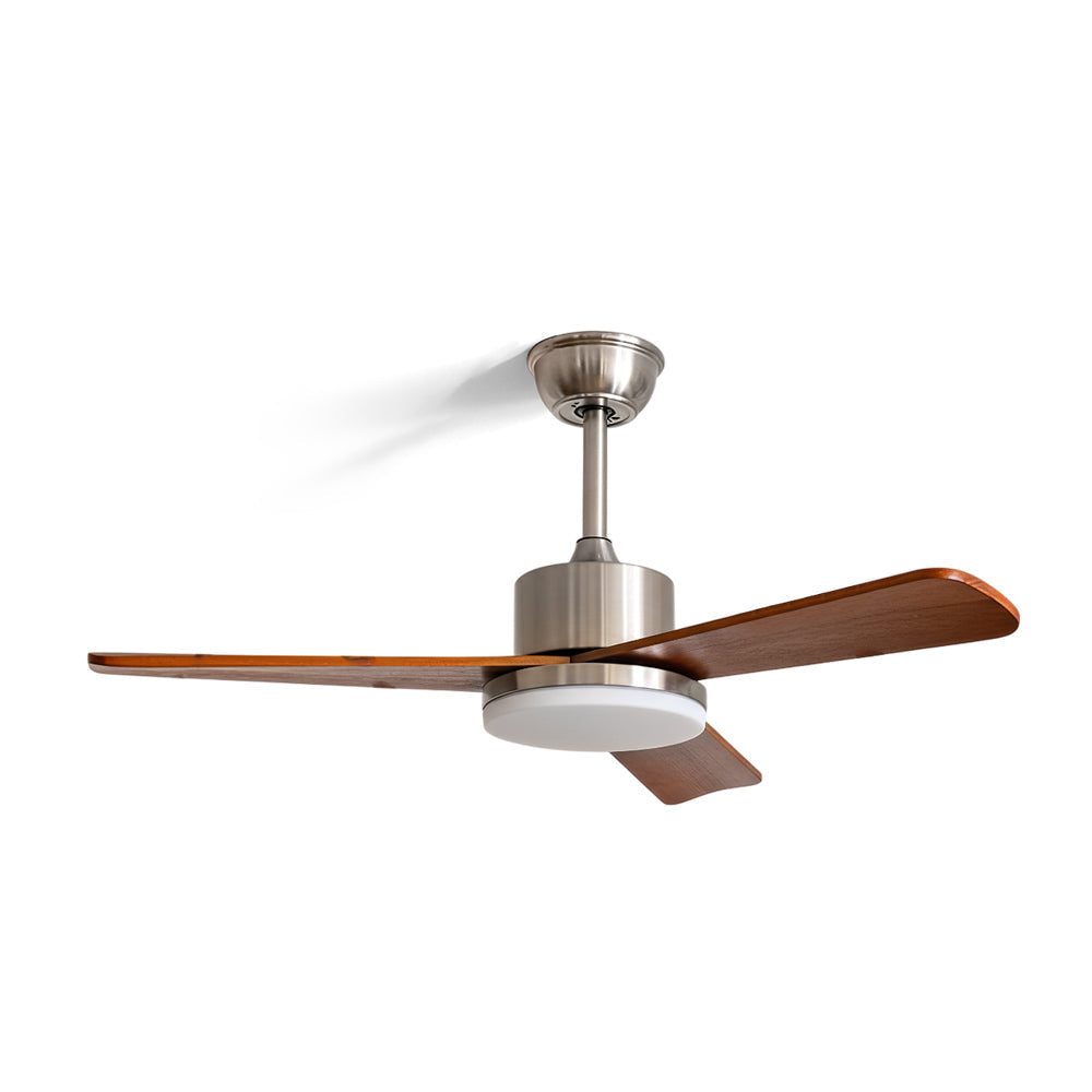 Mireaine Ceiling Fan Light
