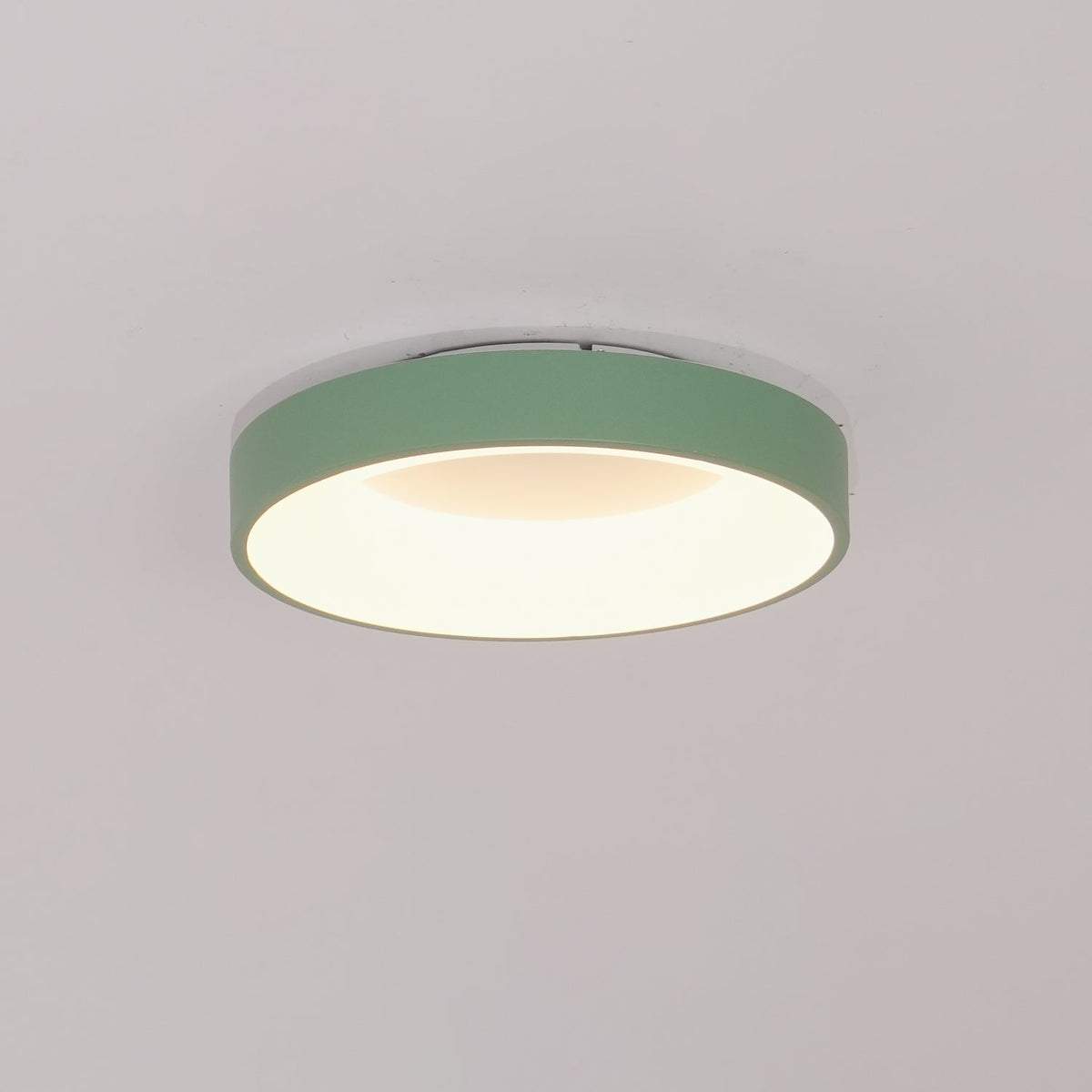 Jareth Ceiling Light Iron Contemporary Green Shade