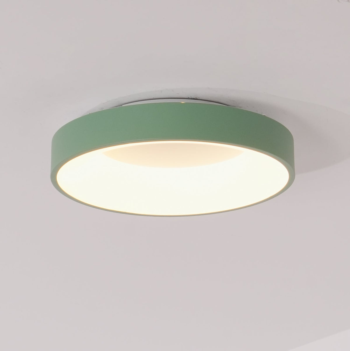 Jareth Ceiling Light Iron Contemporary Green Shade