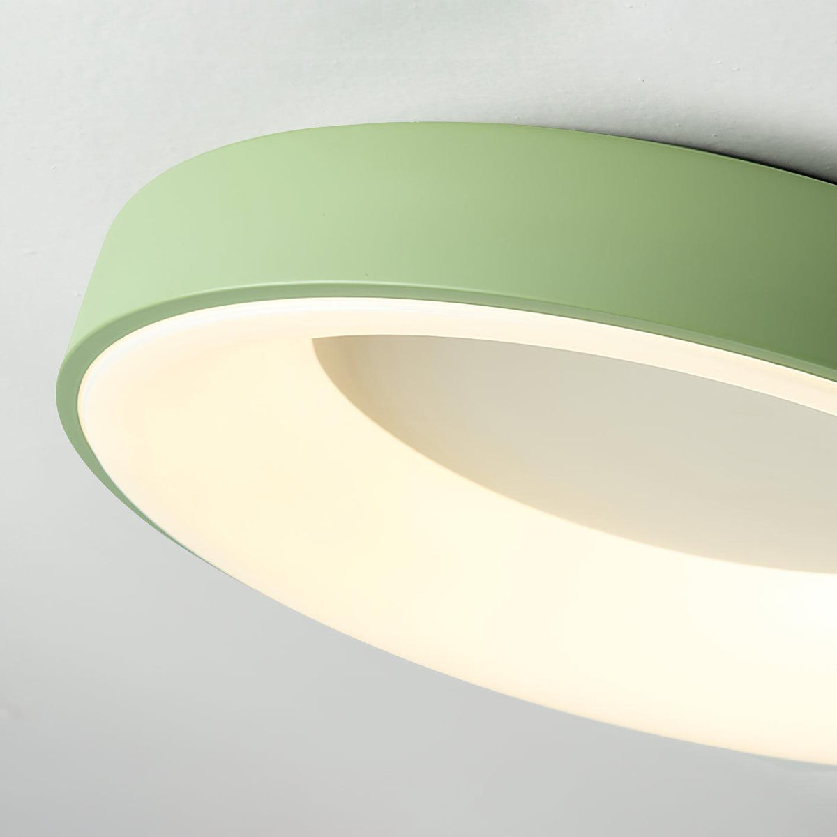 Jareth Ceiling Light Iron Contemporary Green Shade