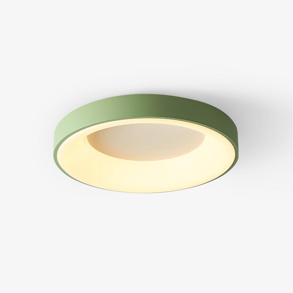 Jareth Ceiling Light Iron Contemporary Green Shade