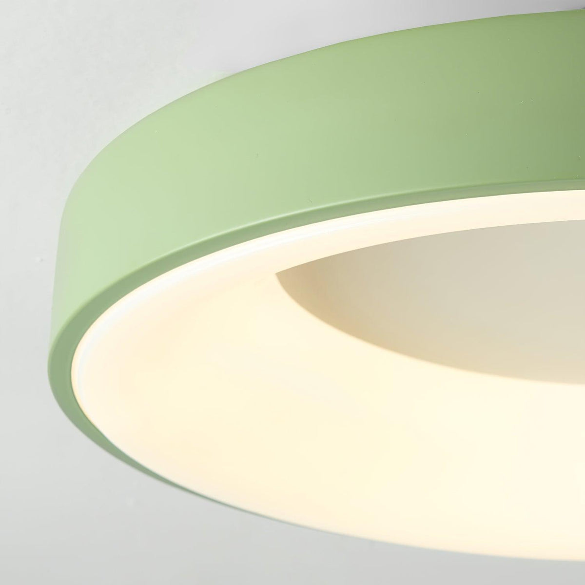 Jareth Ceiling Light Iron Contemporary Green Shade