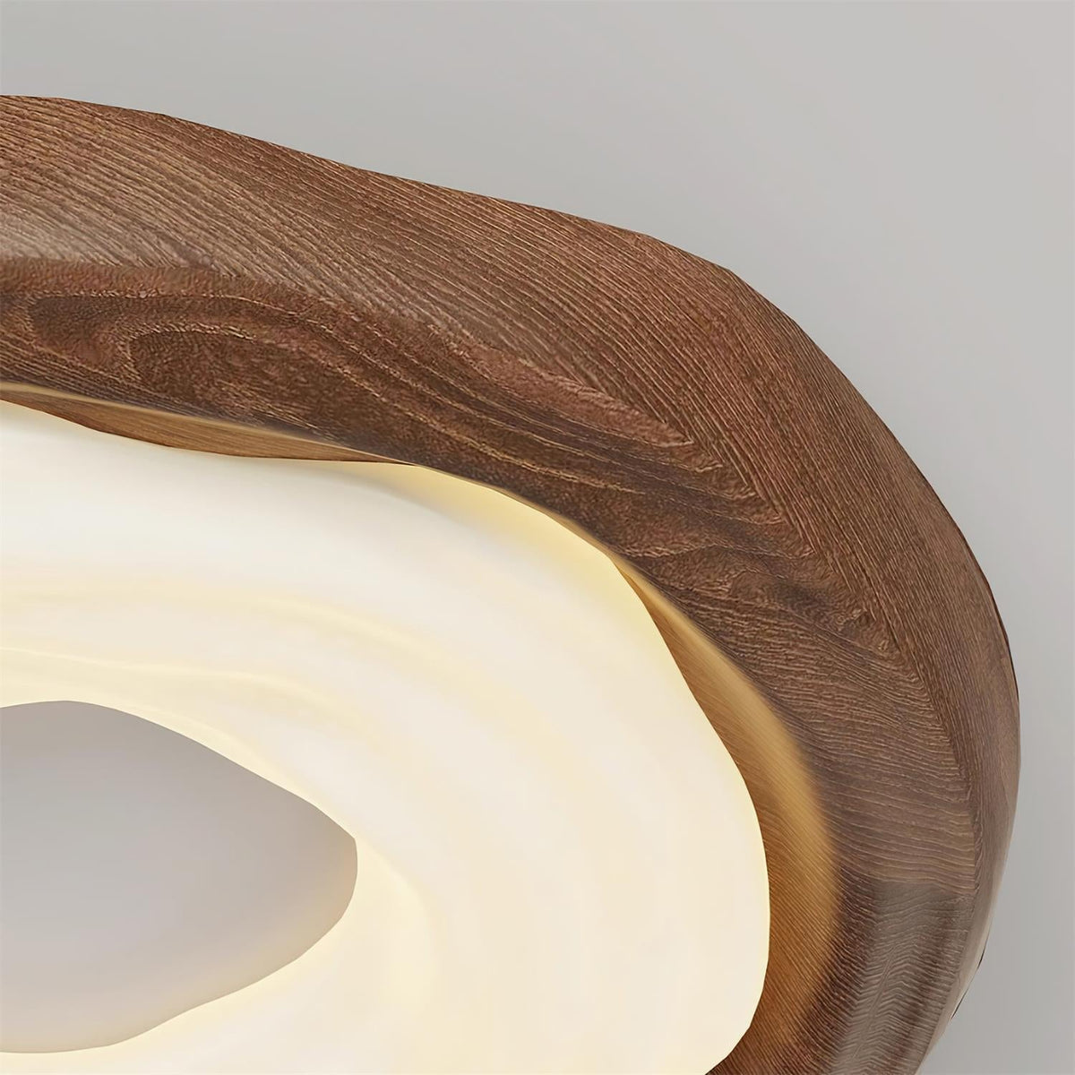 Renanelle Ceiling Light