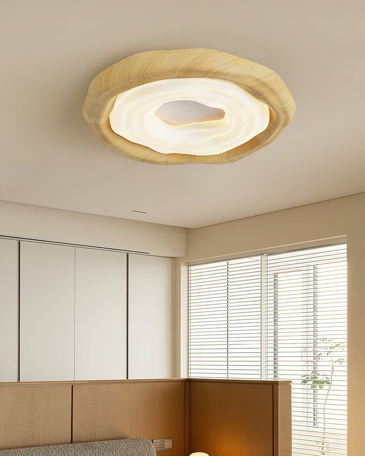 Renanelle Ceiling Light