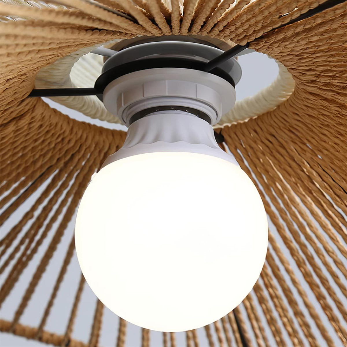 Viraiena Pendant Lamp