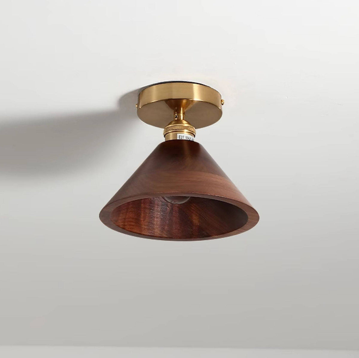 Lioruaya Ceiling Light