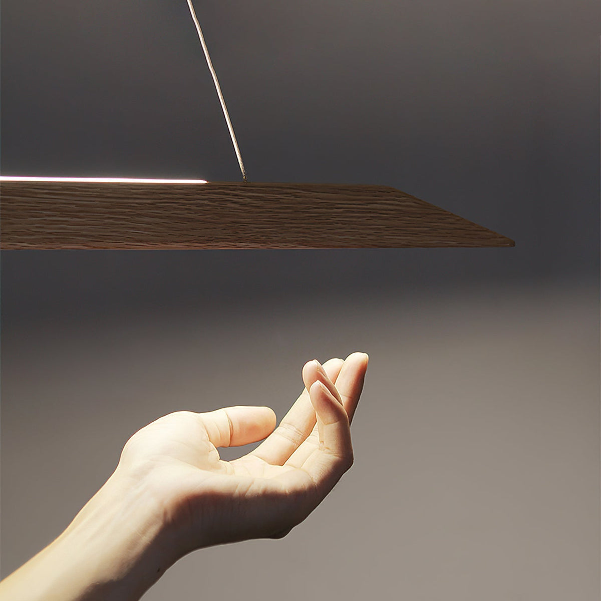 Oreloiella Pendant Light