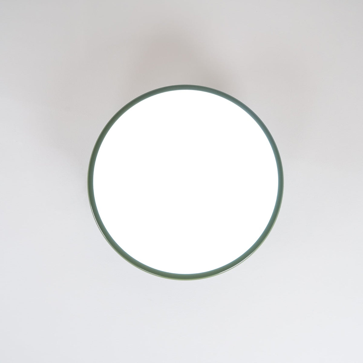 Elmsfield Adjustable Flush Mount Ceiling Light