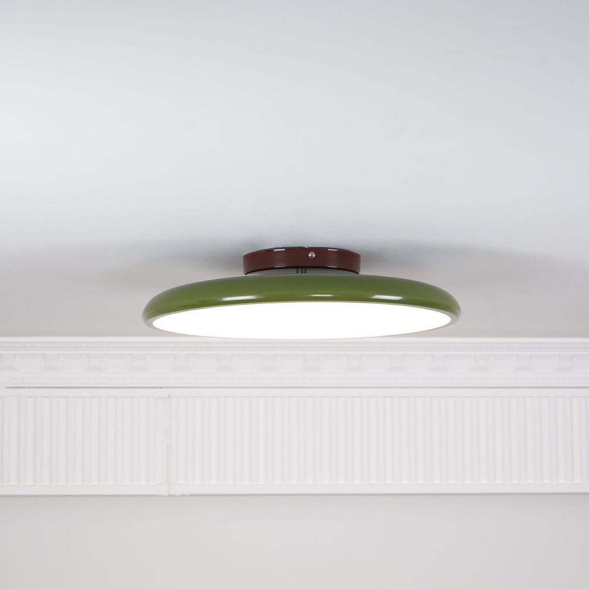 Elmsfield Adjustable Flush Mount Ceiling Light