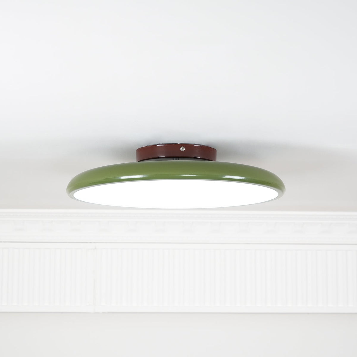 Elmsfield Adjustable Flush Mount Ceiling Light
