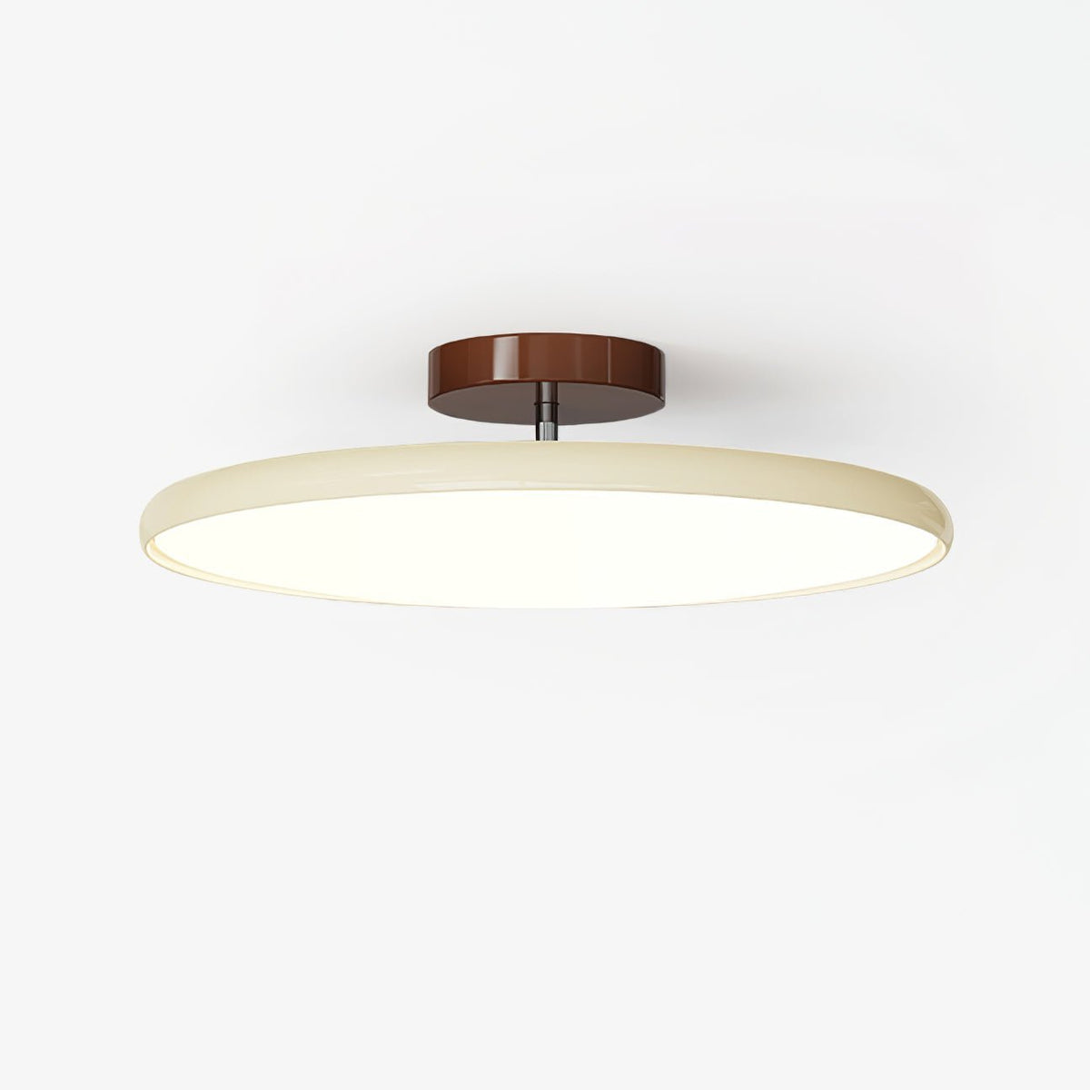 Elmsfield Adjustable Flush Mount Ceiling Light