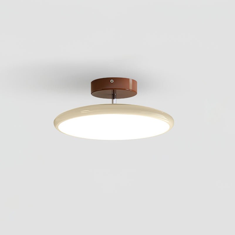 Elmsfield Adjustable Flush Mount Ceiling Light