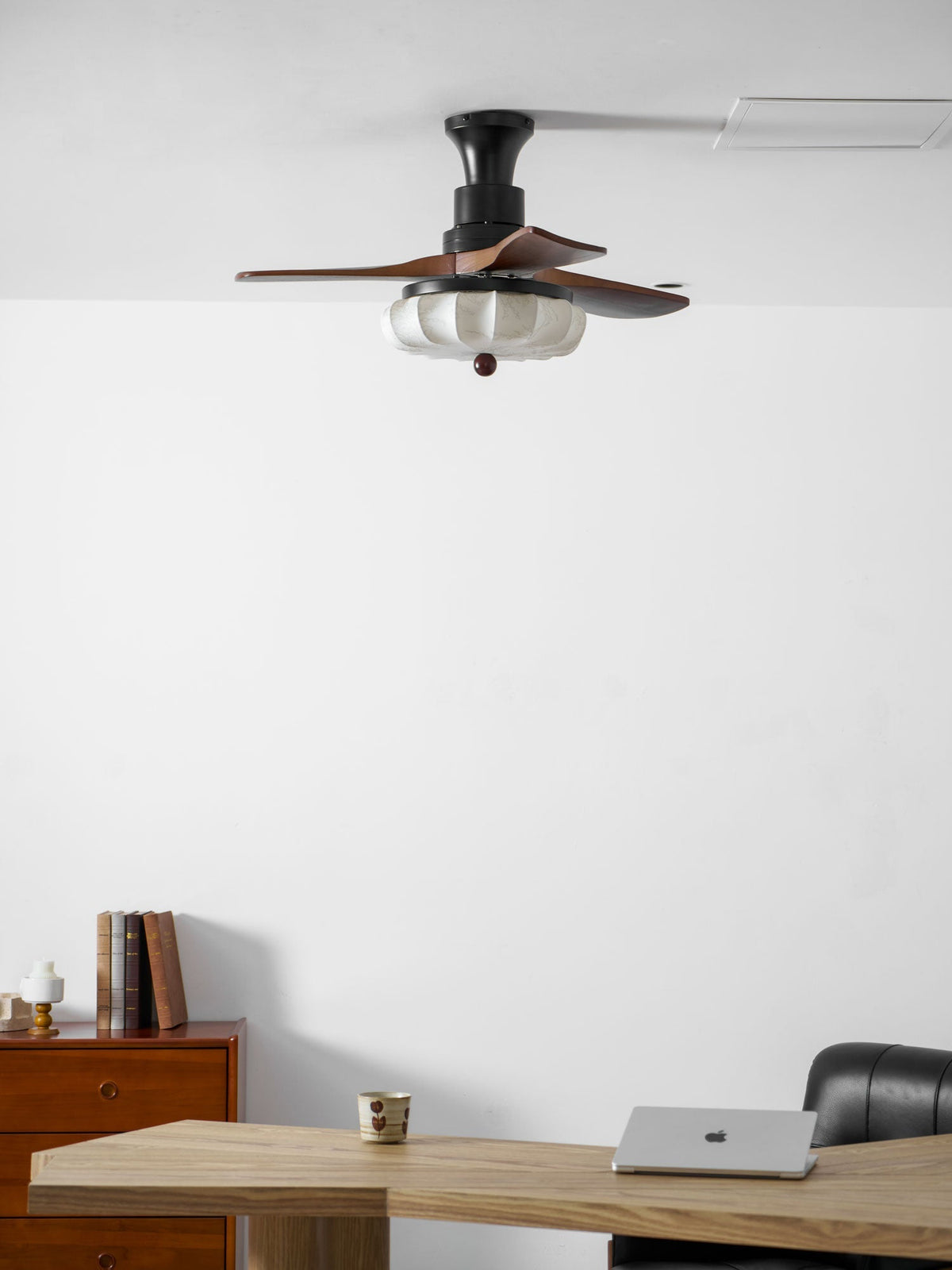 Miraina Ceiling Fan Light