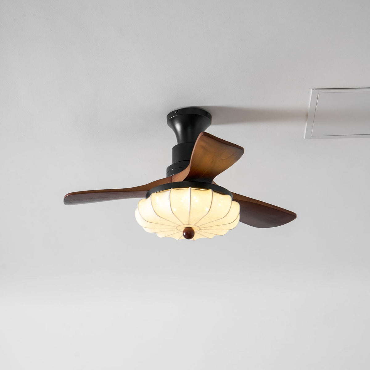 Miraina Ceiling Fan Light