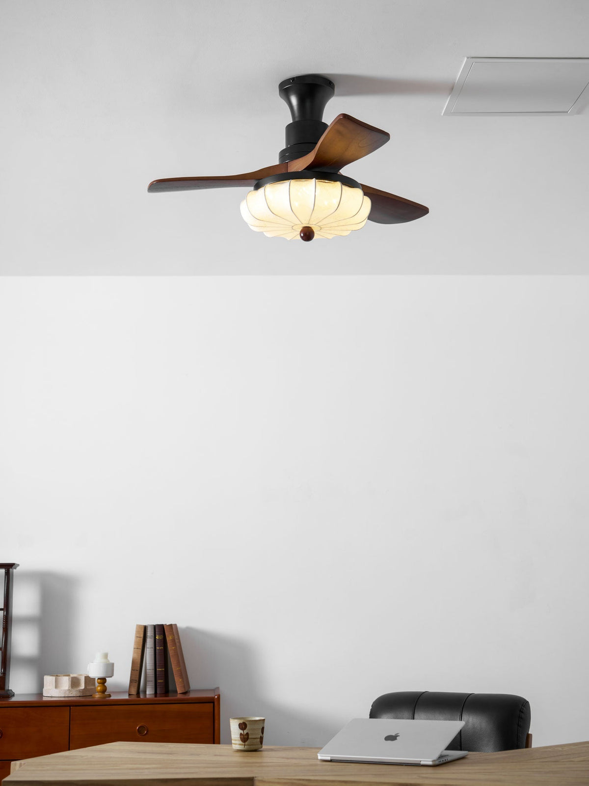 Miraina Ceiling Fan Light