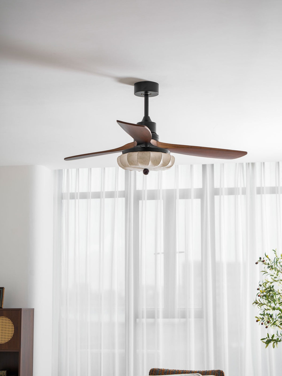 Miraina Ceiling Fan Light