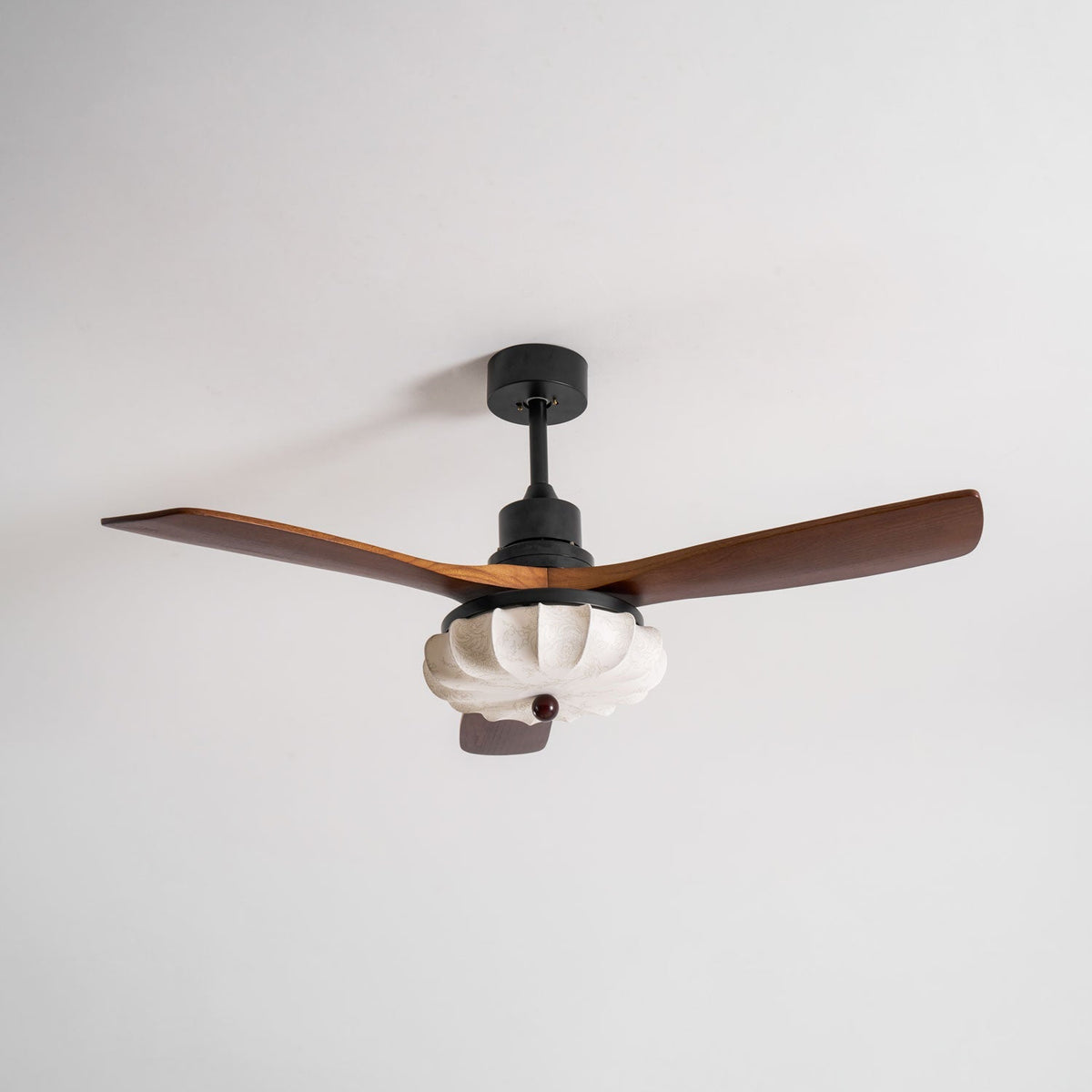 Miraina Ceiling Fan Light