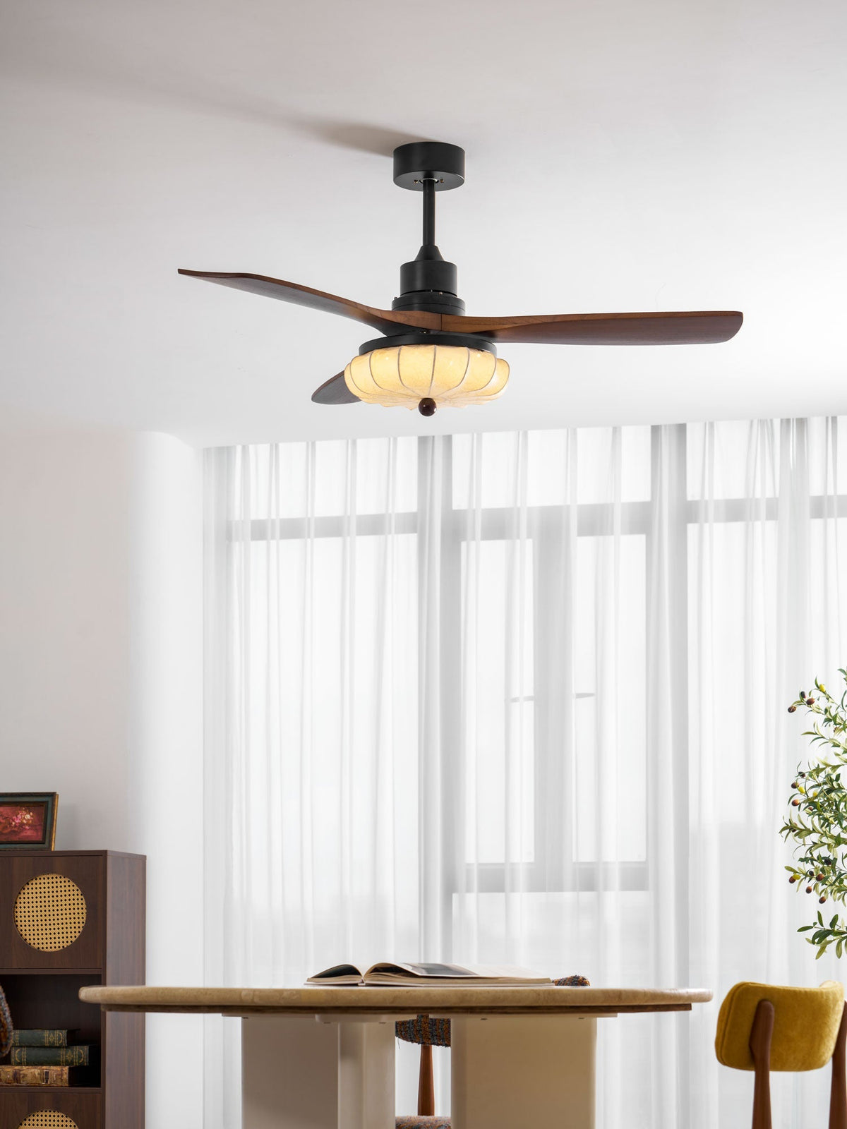 Miraina Ceiling Fan Light