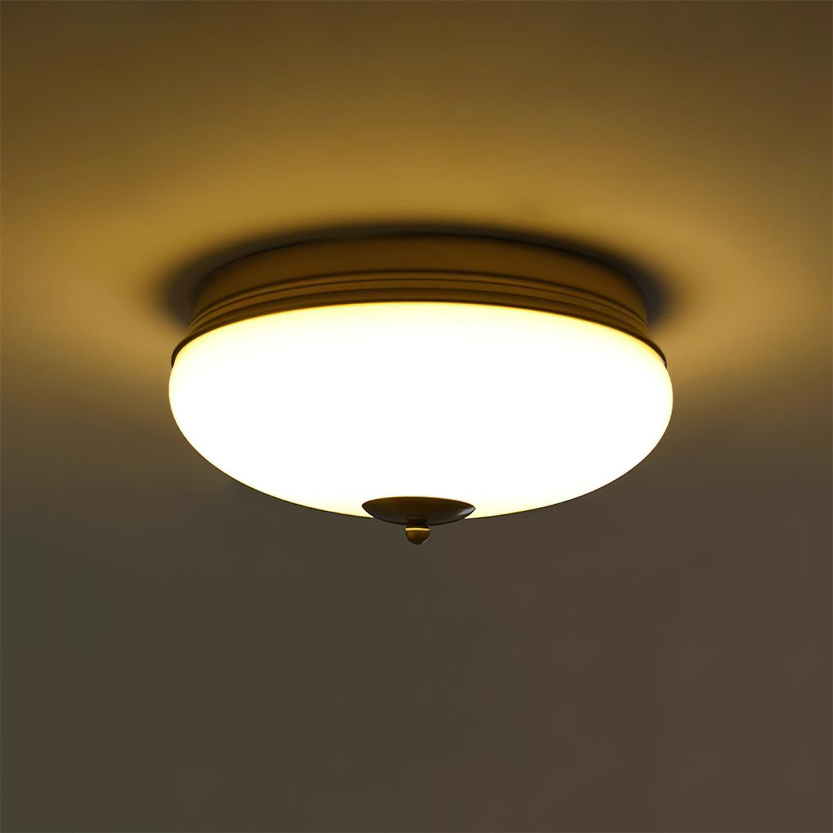 Elairine Ceiling Light