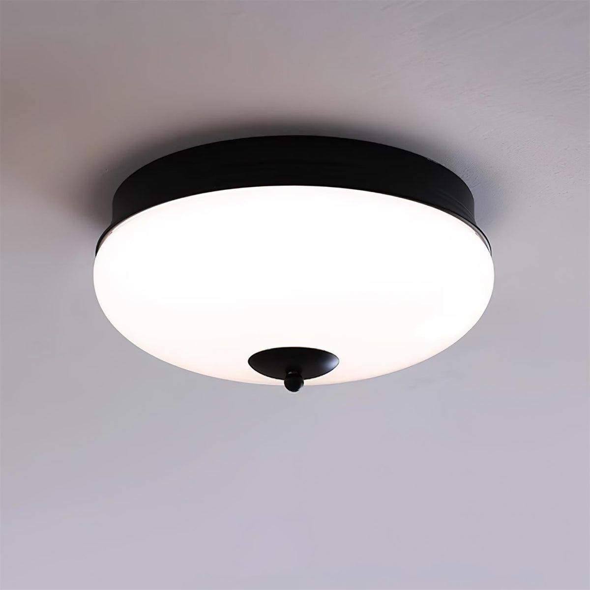 Elairine Ceiling Light