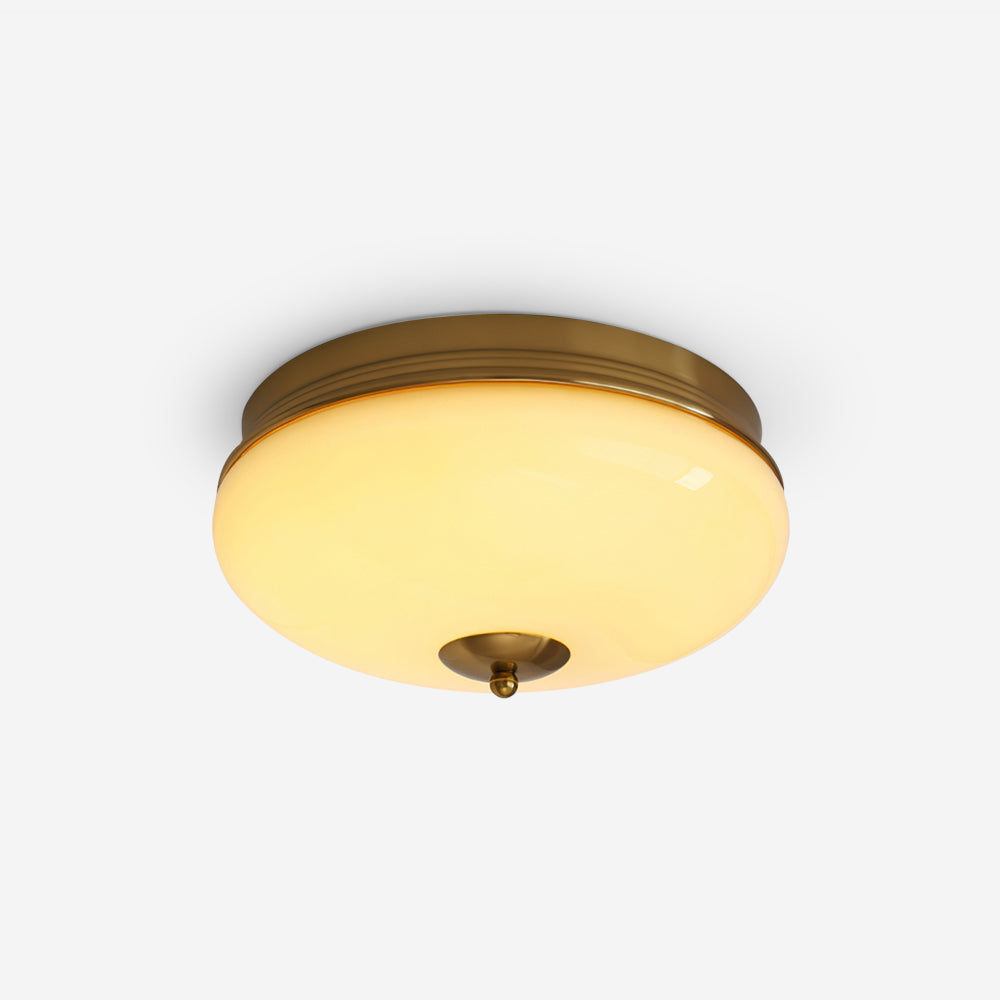Elairine Ceiling Light
