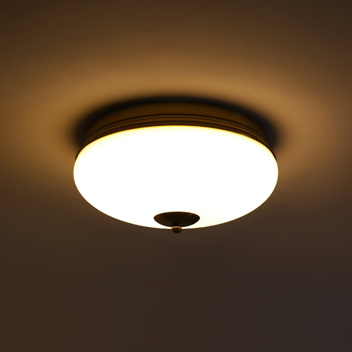 Elairine Ceiling Light