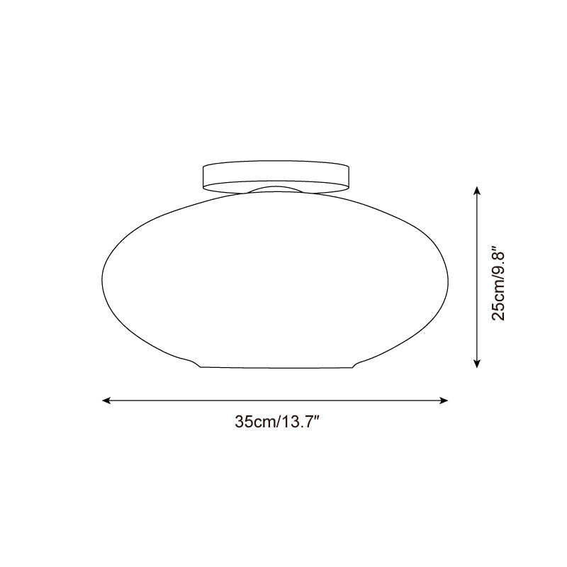 Lioroina Flush Mount Ceiling Light