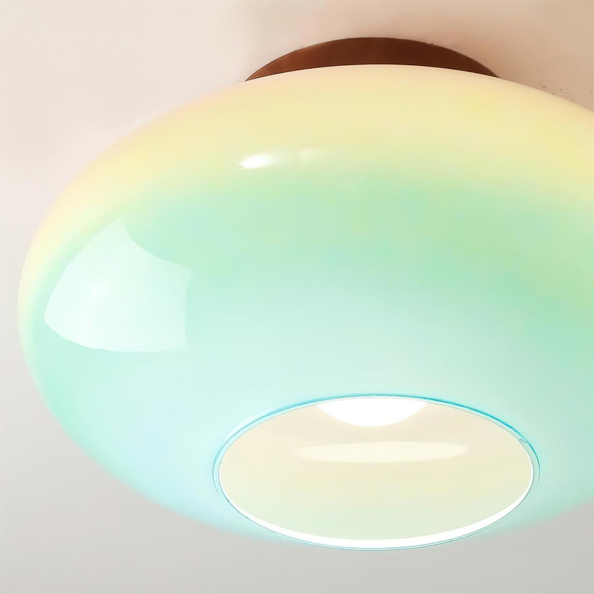 Lioroina Flush Mount Ceiling Light