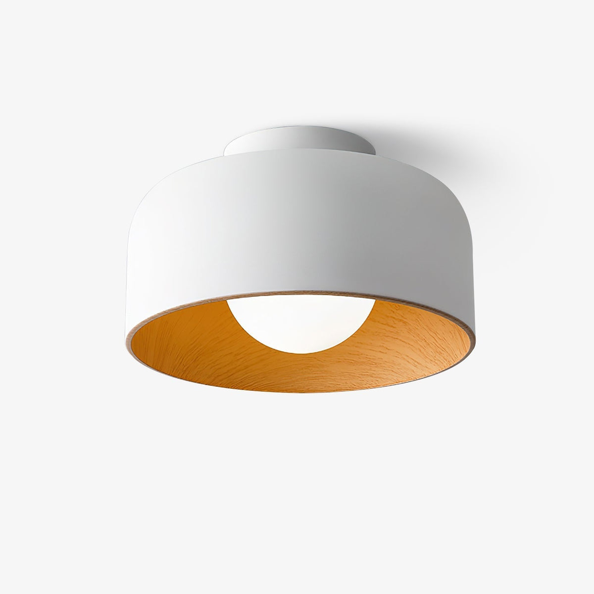 Elaerena Ceiling Light