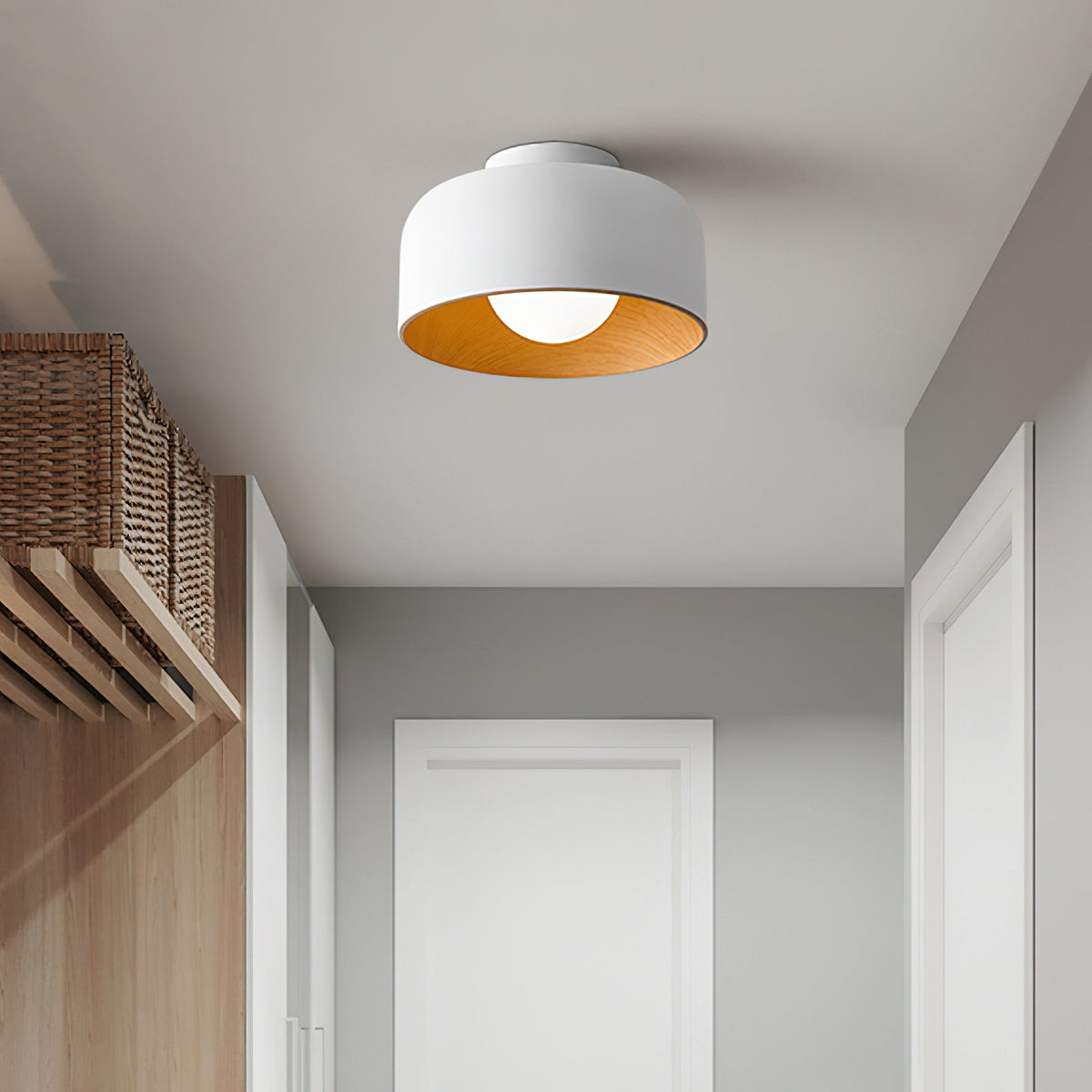Elaerena Ceiling Light