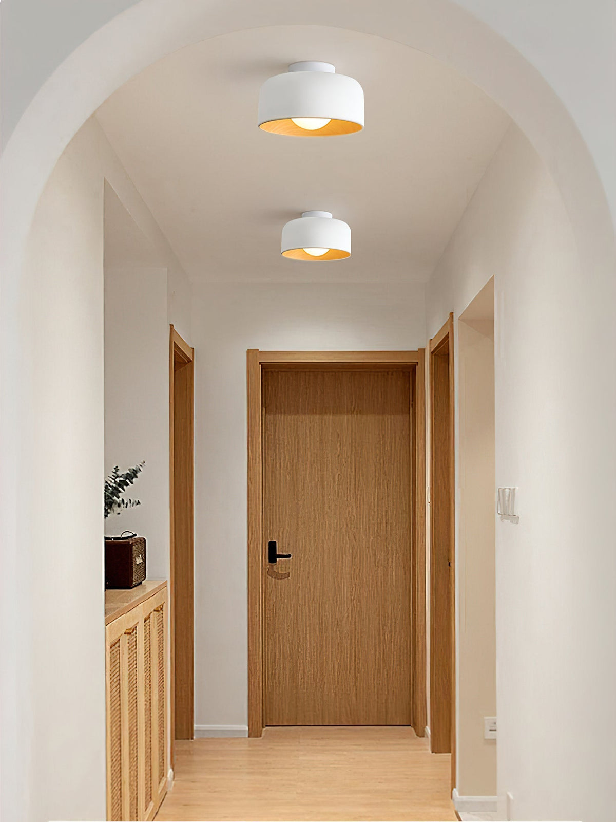 Elaerena Ceiling Light
