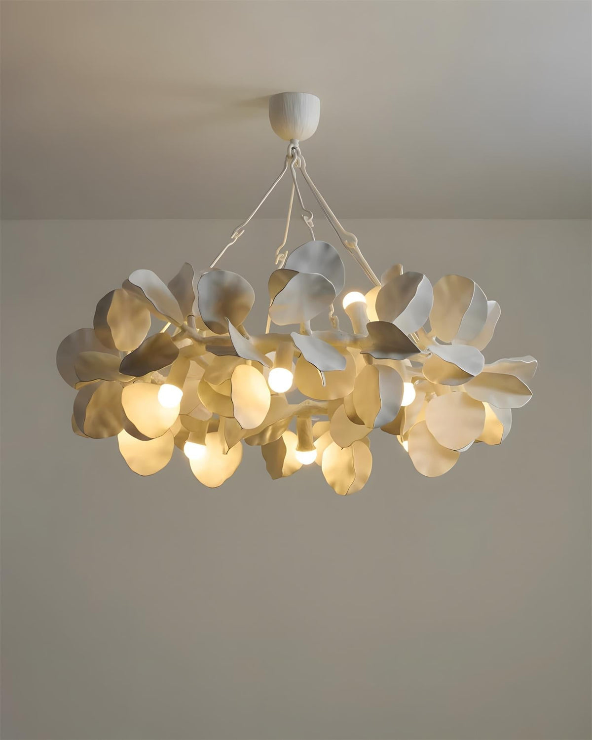 Soriella Crown Chandelier