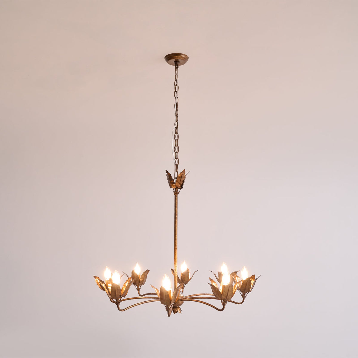 Lioroeon Tulip Chandelier