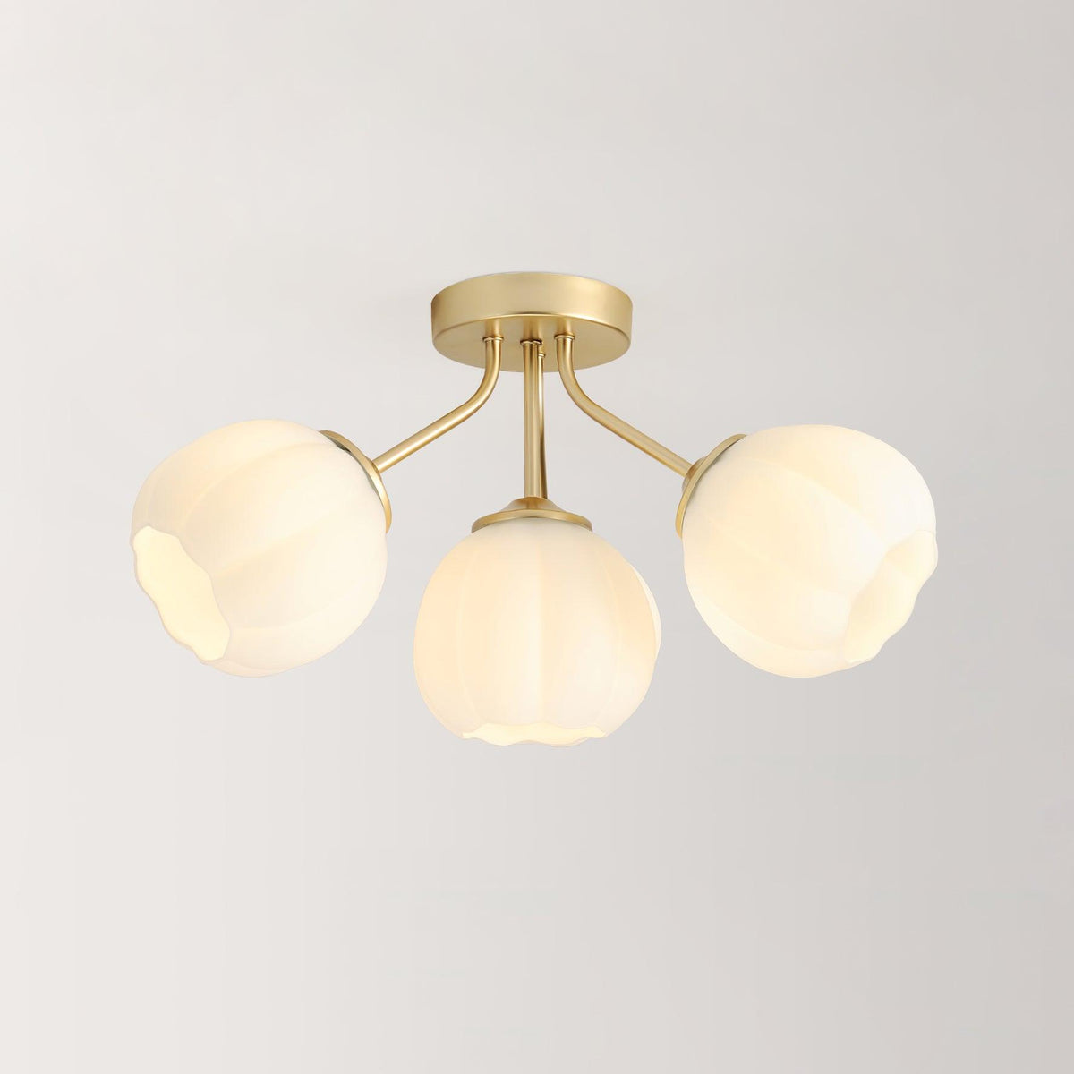 Evania Ceiling Light